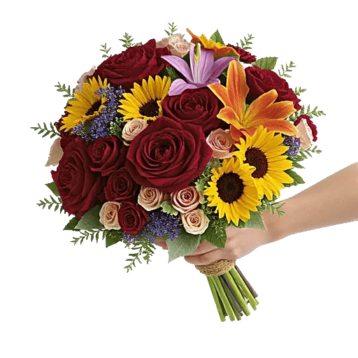 Petal Harmony Bliss