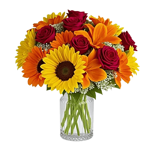 Radiant Bloom Cascade