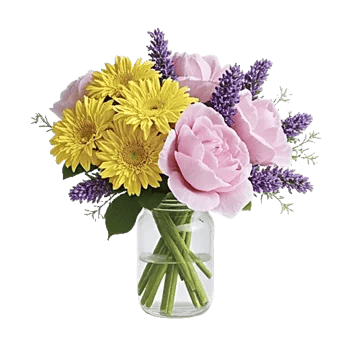 Petal Radiance Bliss