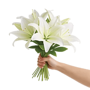 Graceful Lily Display