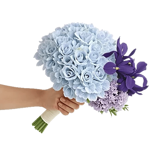 Serene Petal Harmony
