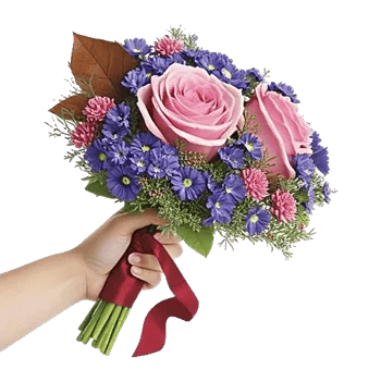 Blushing Rose Symphony