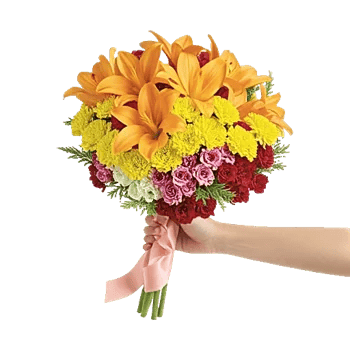 Petal Harmony Bliss