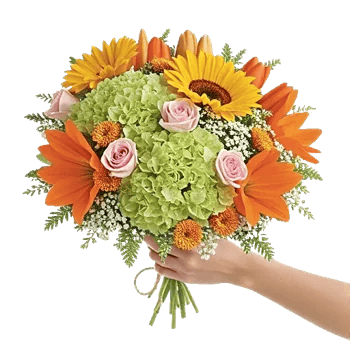 Serene Petal Harmony