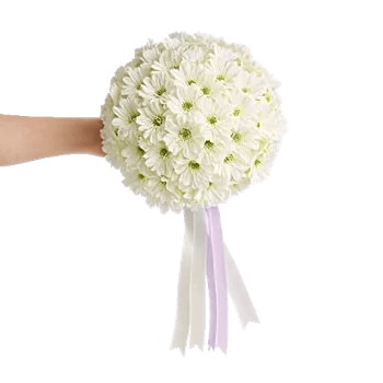 Delicate Petal Cascade