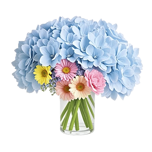 Pastel Blossom Grace