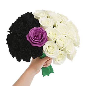 Crimson Rose Elegance