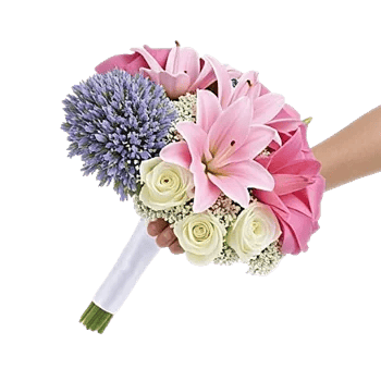 Blossom Petal Serenity