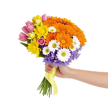 Blossom Harmony Display