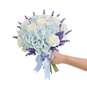 Serene Petal Harmony