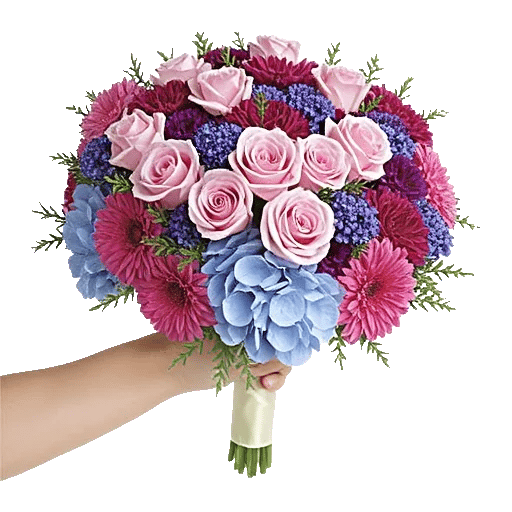 Pastel Pink Roses