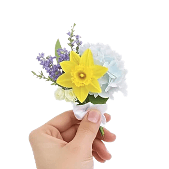 Blossom Petal Serenity