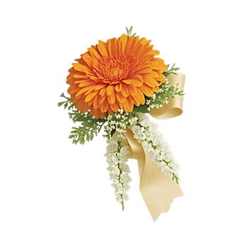 Petal Radiance Bliss