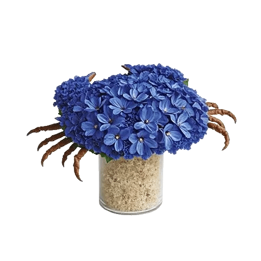 Sapphire Bloom Whisper