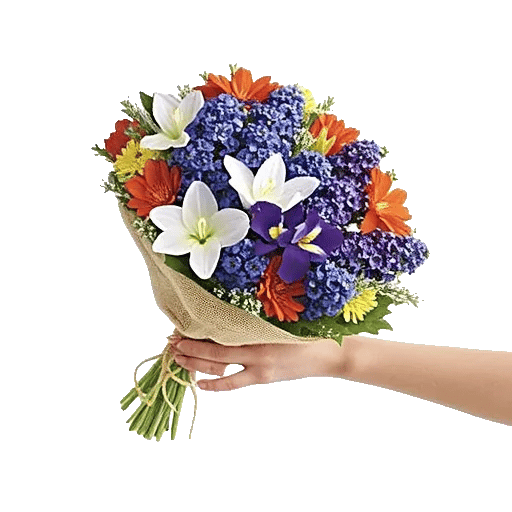 Blossom Petal Serenity