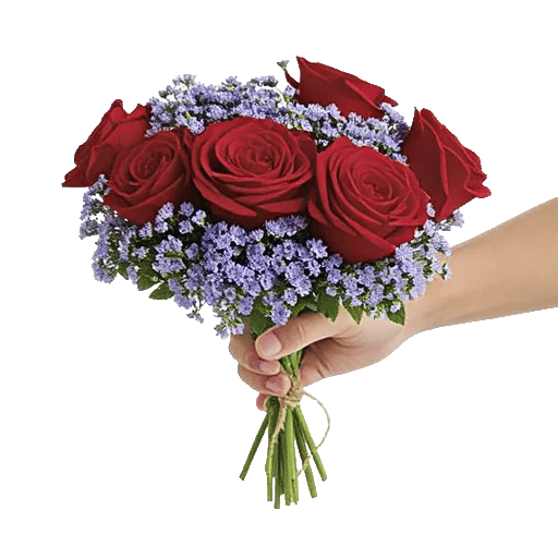 Crimson Rose Elegance