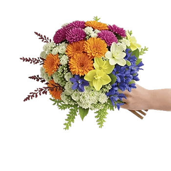Blossom Harmony Display