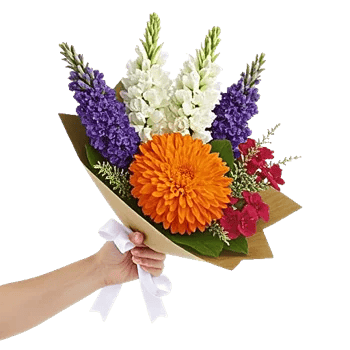 Petal Harmony Bliss