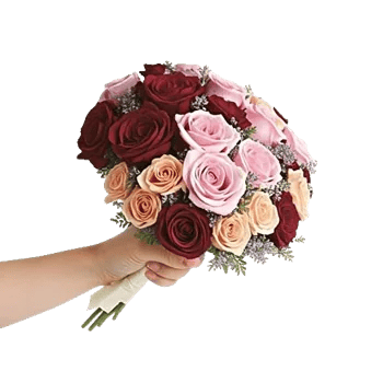 Crimson Rose Elegance