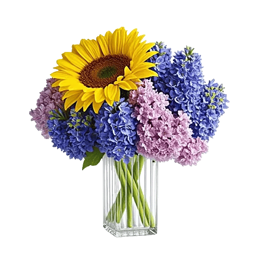 Radiant Bloom Cascade