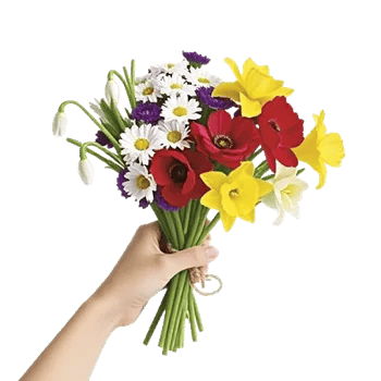 Delicate Petal Cascade