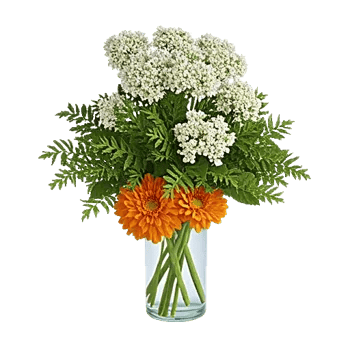 Ivory Blossom Radiance