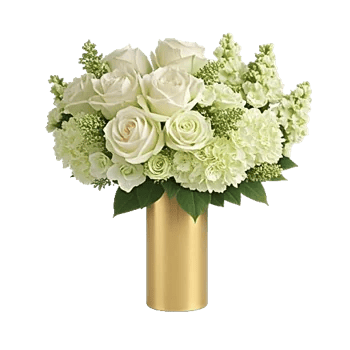 Ivory Blossom Radiance