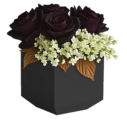 Gothic Dark Roses