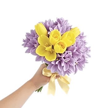 Blossom Harmony Display