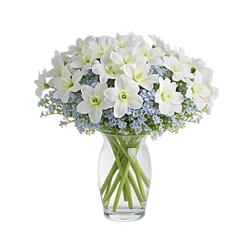 Ivory Blossom Radiance