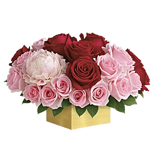 Crimson Rose Elegance