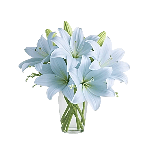 Graceful Lily Display