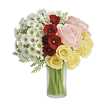 Ivory Blossom Radiance
