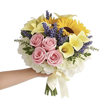 Blushing Rose Symphony