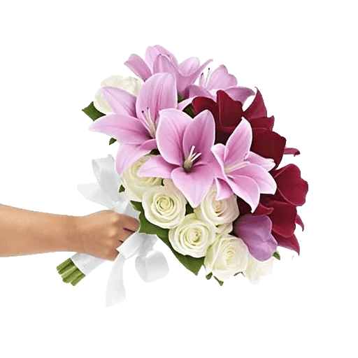 Elegant Calla Lilies