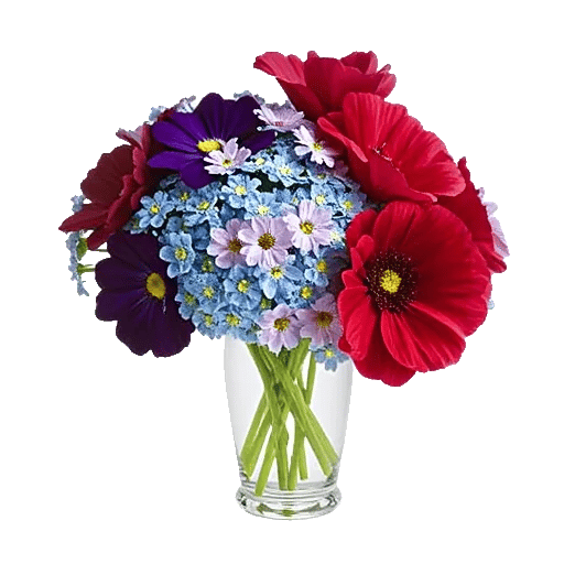 Petal Radiance Bliss