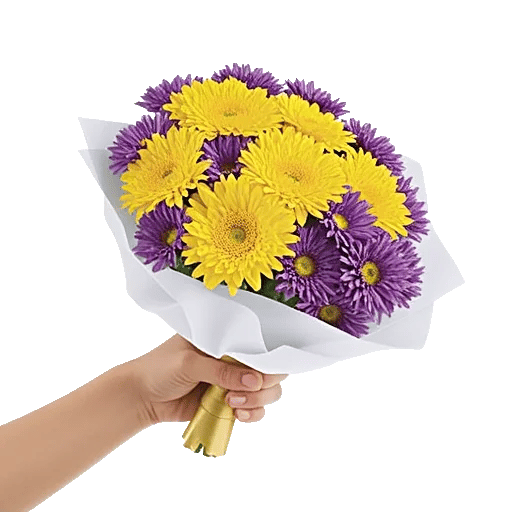 Blossom Harmony Display