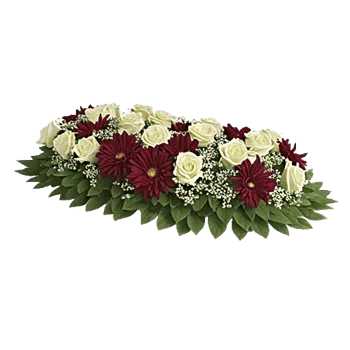 Delicate Petal Cascade