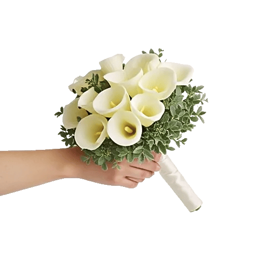 Elegant Calla Lilies