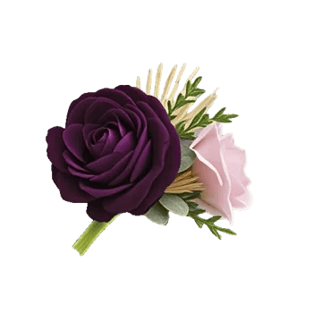 Plum Blossom Radiance