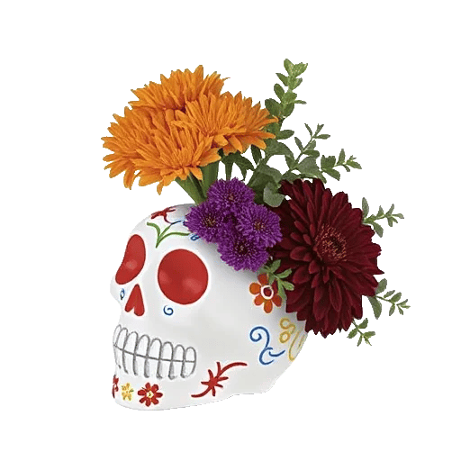 Modern White Orchids