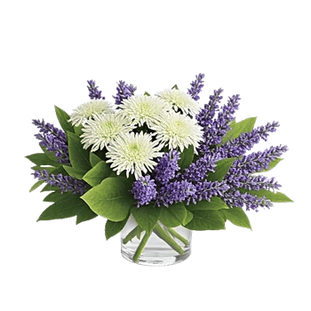 Lavender Bloom Grace