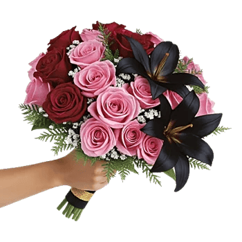 Crimson Rose Elegance