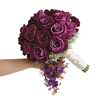 Delicate Petal Cascade