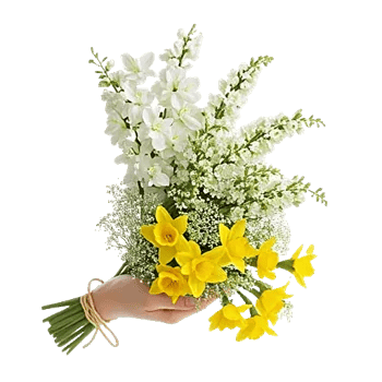 Ivory Blossom Radiance