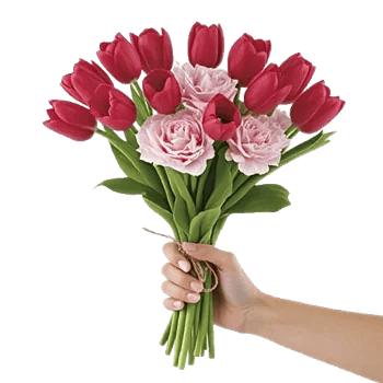 Scarlet Tulip Splendor