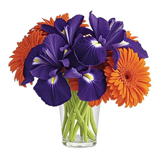 Ivory Blossom Radiance