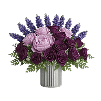 Lavender Bloom Grace
