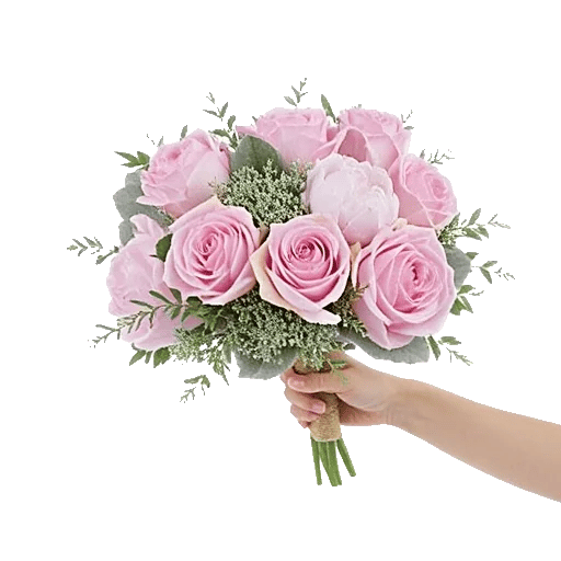 Pastel Pink Roses