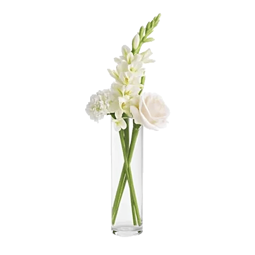 Minimalist White Orchids